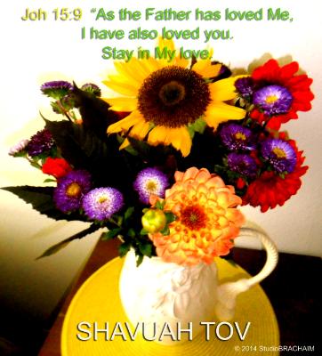 Joh 15:9~Shavuah Tov~ Good week Joh 15:9~Shavuah Tov~ Good week