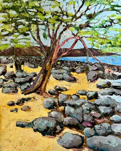 Seawall