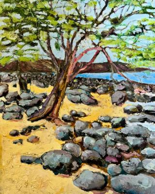Seawall Seawall