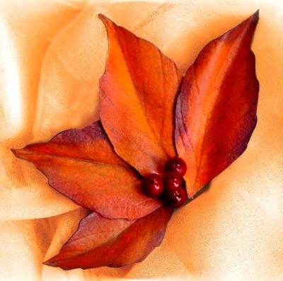 Dogwood Leaf Cluster Pin Dogwood Leaf Cluster Pin