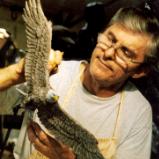 Working on Eagle for Airforce Village 1 Sculpture