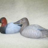 Pair Half size Canvasbacks - sold separately