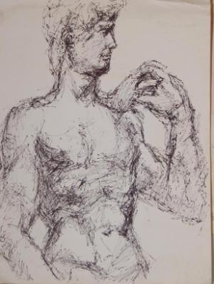 U6 Male Torso Sketch