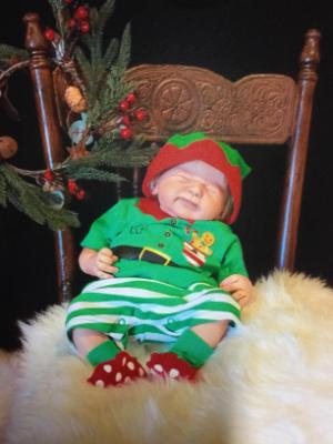 Christmas 2016 Show entry: Franklin (S.N)