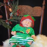 Christmas 2016 Show entry: Franklin (S.N)
