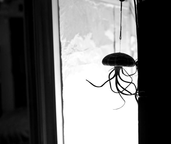 jellyfish cosmonaut (canon rf50 thypoch 28mm f/1.4)