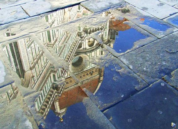 Close-ups: Florence in a Puddle 2