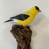 Goldfinch # 30