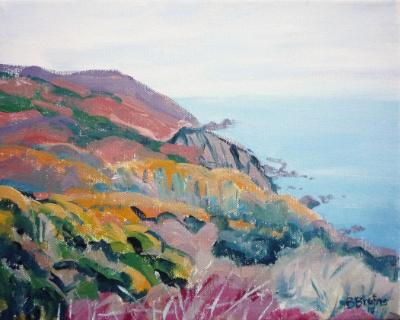 Exmoor cliffs in autumn 2