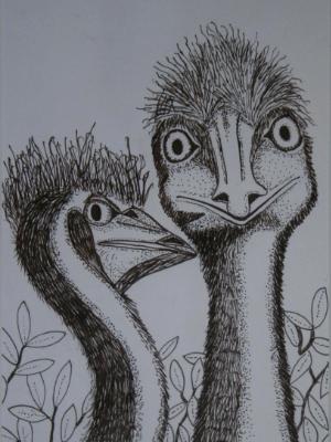 Emus