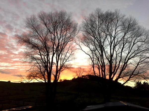 Early morning in rural New Zealand