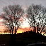 Early morning in rural New Zealand