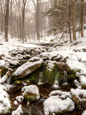April Snow in Rochester Hollow April Snow in Rochester Hollow