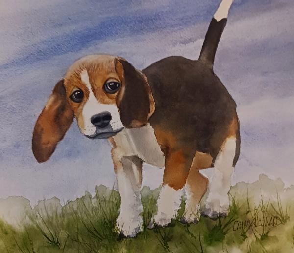 Daisy the Beagle (watercolor)