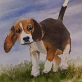 Daisy the Beagle (watercolor)