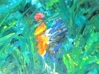 Kauai Kapaa Rooster Kauai Kapaa Rooster