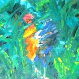 Kauai Kapaa Rooster