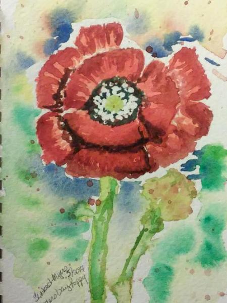 Mothers Day Poppy