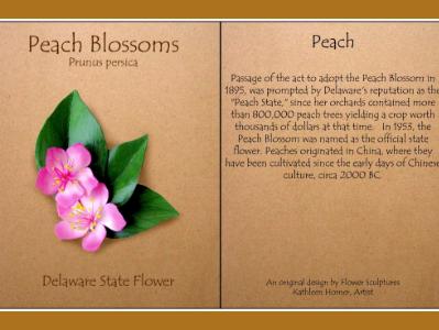 Peach Blossom, Delaware State Flower