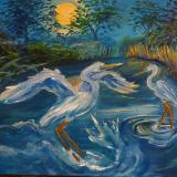 Birds Birds