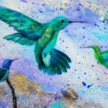 Hummingbirds in Flight