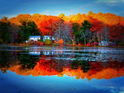 Autumn Reflection