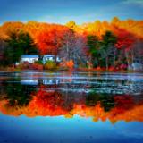 Autumn Reflection