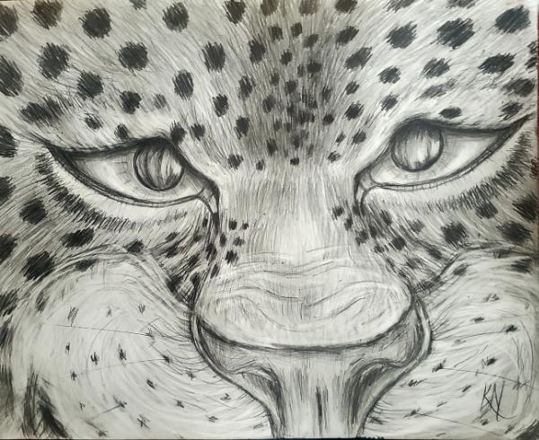 A Leopard's Sneer