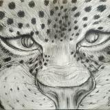 katnaj Artworks    *Colors in Harmony*   Earth,  Life,  Nature