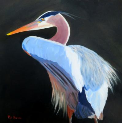 Great Blue Heron Portrait Great Blue Heron Portrait
