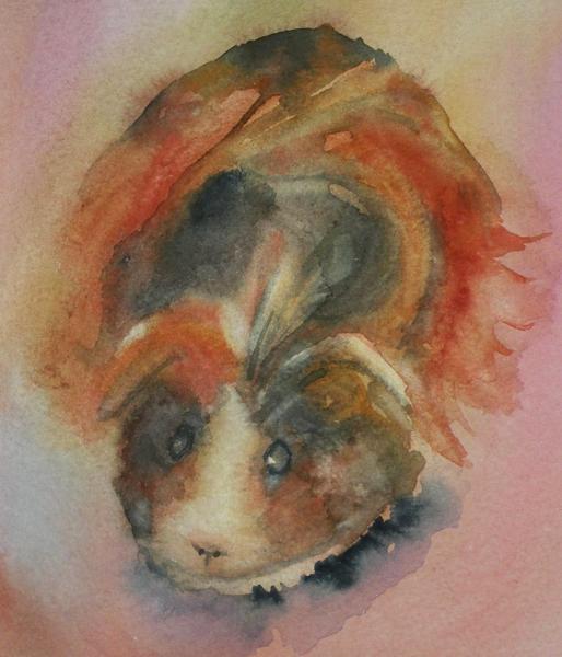 Sadie (watercolor)