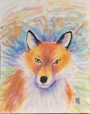 Red Fox Portrait 