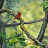 Peaceful Perch