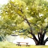 Mulberry at Noboleis Winery