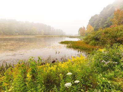 Foggy Morning on Wawaka Lake Foggy Morning on Wawaka Lake
