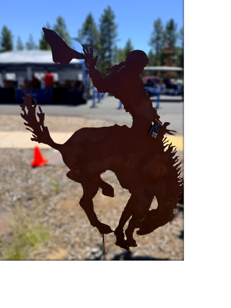 Bucking Bronc