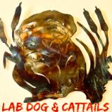 Lab in Cattails