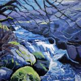Dartmoor rapids at the West Okement