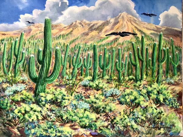 Saguaros near Catalina Mountains