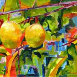 Pond Apples SOLD