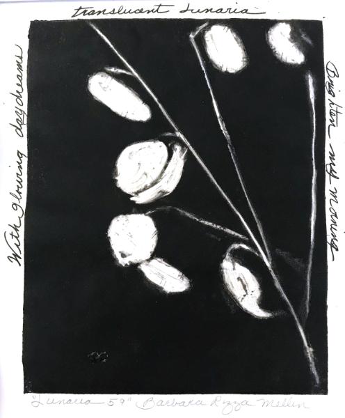 Lunaria 59: Daydreams