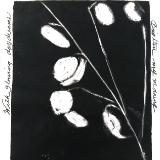 Lunaria 59: Glowing Daydreams