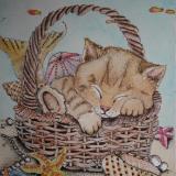 Mermaid Kitty