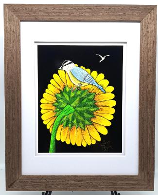 Nuthatch on Sunflower