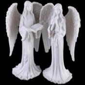 Angels Angels