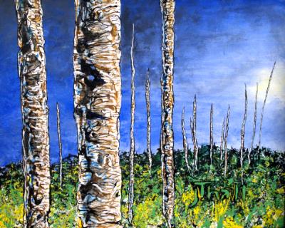Aspens at dawn Aspens at dawn