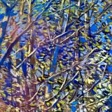 Art's Alive!  Invitational and Juried Fine Art Shows