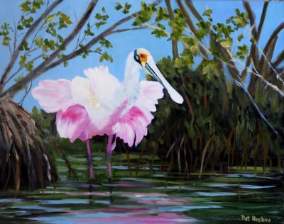 Roseate Spoonbill 1 Roseate Spoonbill 1