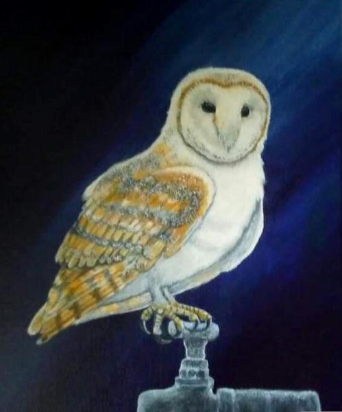 Night Visitor 