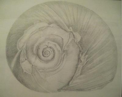 Shell I